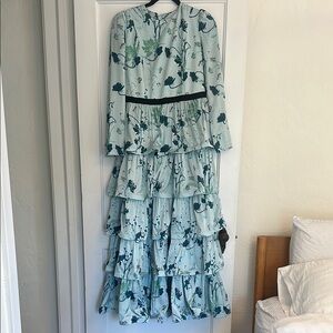 Tuckernuck Green Ruffled Tiered Gown with Bishop Sleeves